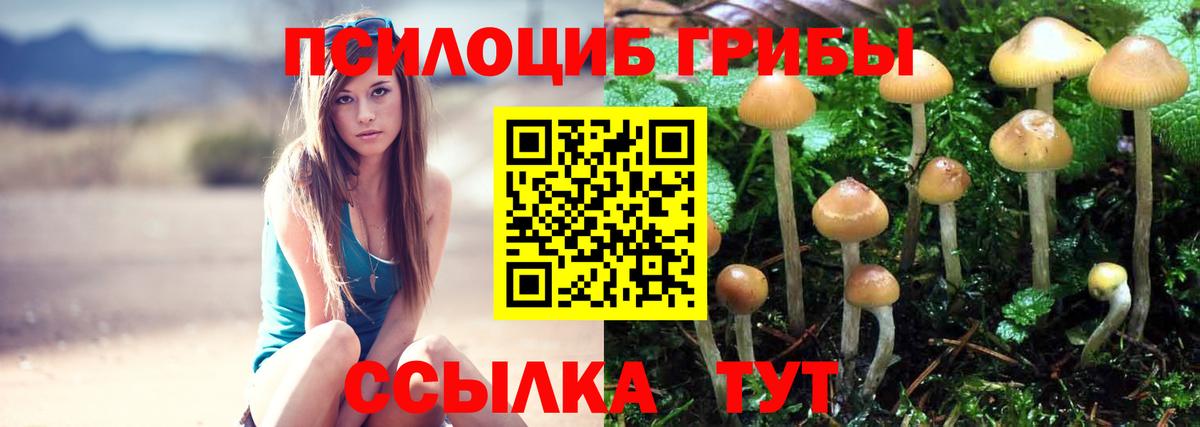 Галлюциногенные грибы прущие грибы  где можно купить наркотик  Вход с VPN  Советск  Псилоцибиновые грибы MAGIC MUSHROOMS 